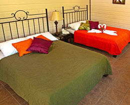 Evergreen Tortuguero