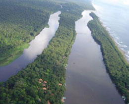 Mawamba Tortuguero