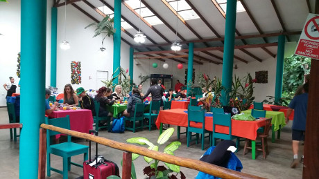 Expertos en Tortuguero