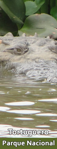 Parque Nacional