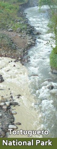 Tortuguero