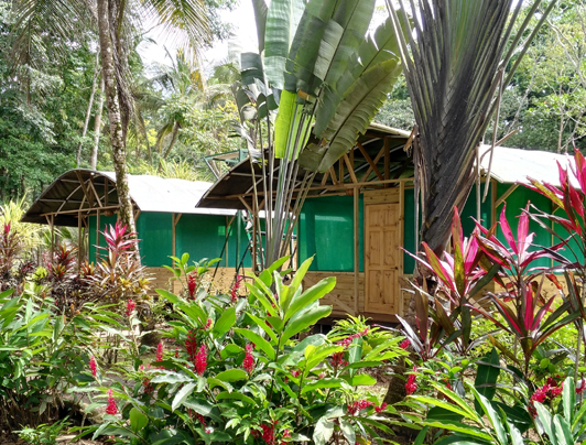 Lirio Lodge