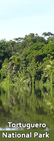 Tortuguero