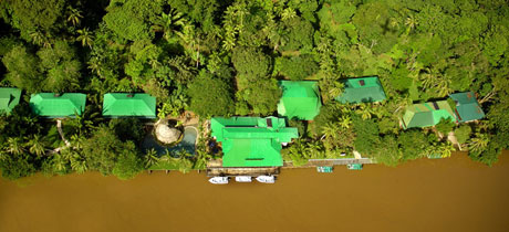 Expertos en Tortuguero 