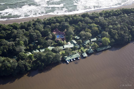 Expertos en Tortuguero 