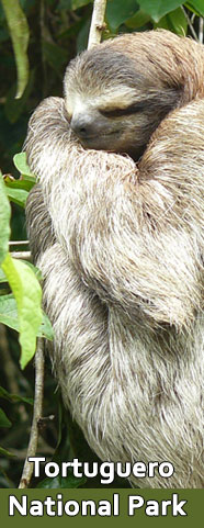 Tortuguero