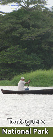 Tortguero