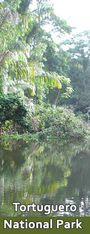 Tortuguero
