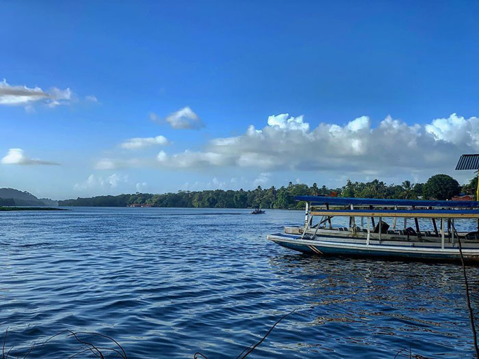  Tortuguero Costa Rica 