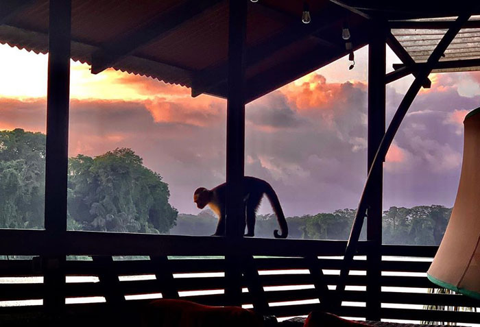 Parque Nacional Tortuguero 