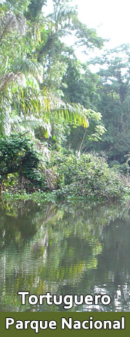 Tortuguero