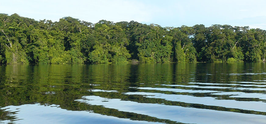 Pacuare Rafting and Tortuguero