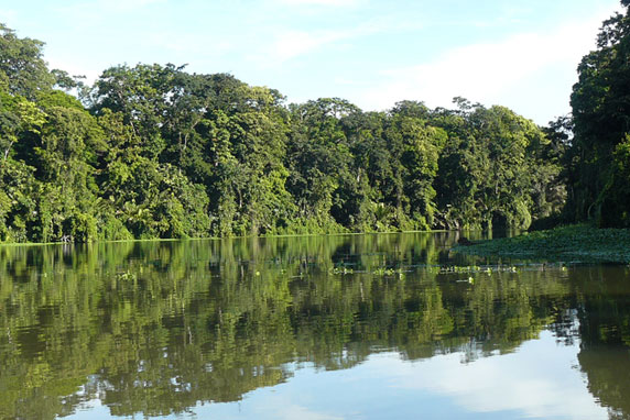 Tortuguero National Park