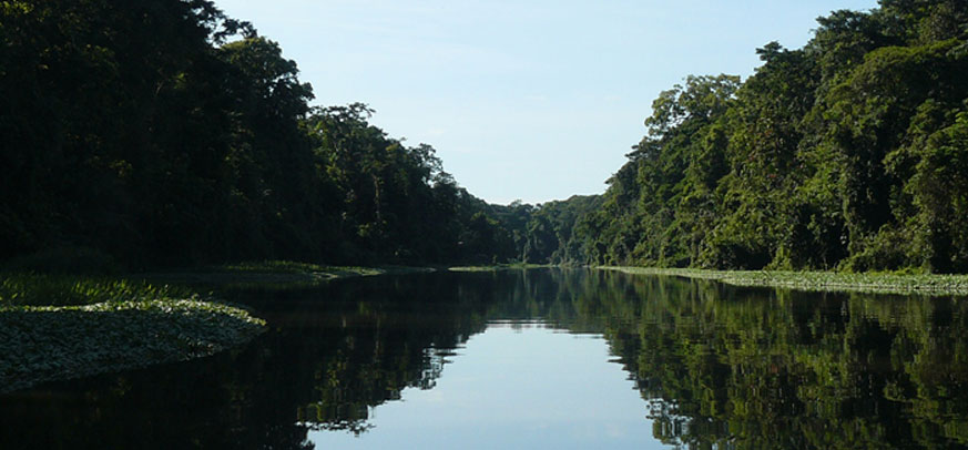 Pacuare Rafting and Tortuguero