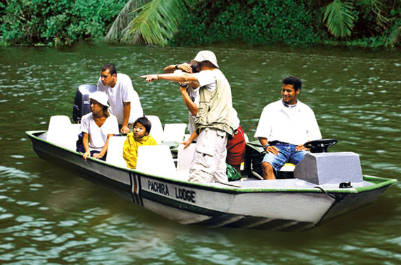 Tortuguero Packages